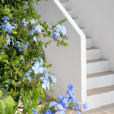 Elegant Escape In 빌라 베니싸