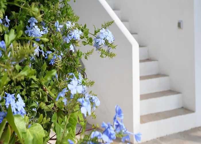 Elegant Escape In 빌라 베니싸
